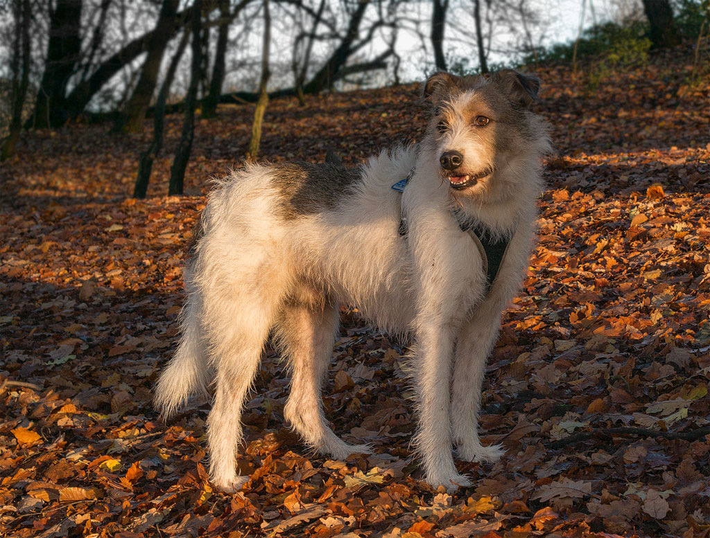 1111  Felix-SAM_0680-1-Kopie.jpg